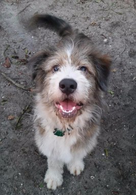 drpem3xzef3kf.cloudfront